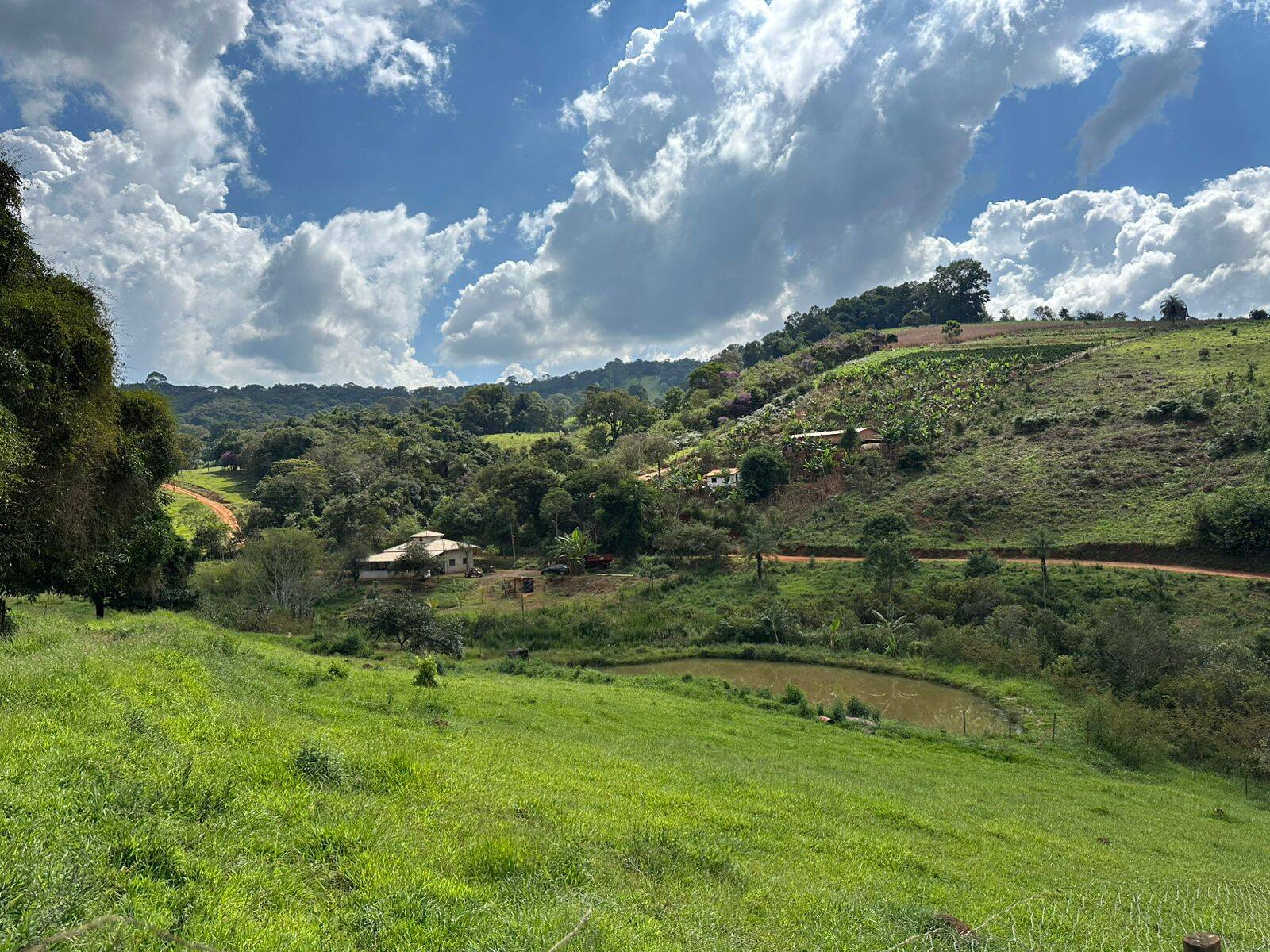 Sítio, 3 quartos, 8000 m² - Foto 19