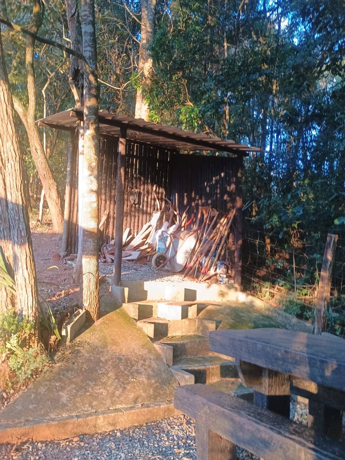 Sítio, 2 quartos, 4500 m² - Foto 4