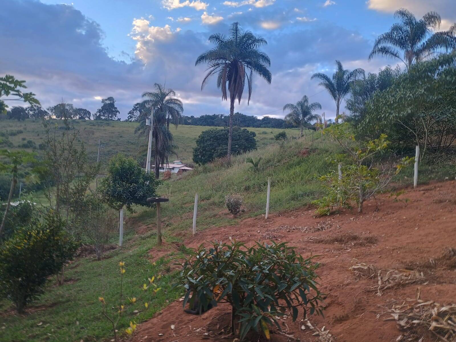 Sítio, 2 quartos, 4500 m² - Foto 10