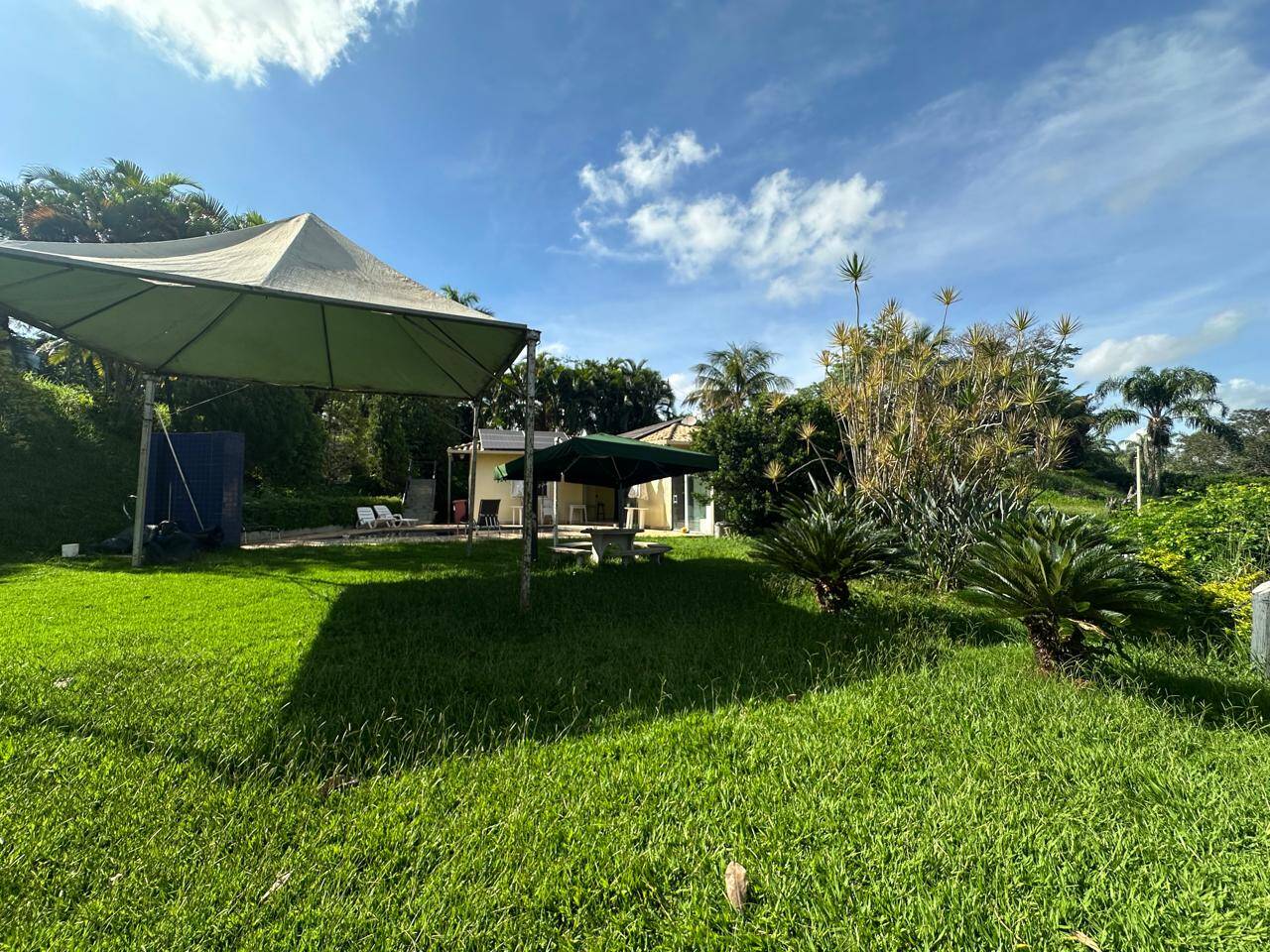 Sítio, 1 quarto, 3000 m² - Foto 14