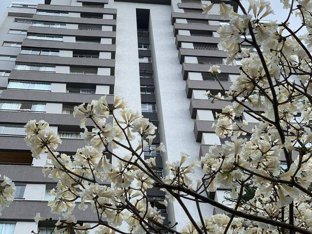 Apartamento para Venda em Belo Horizonte - 2