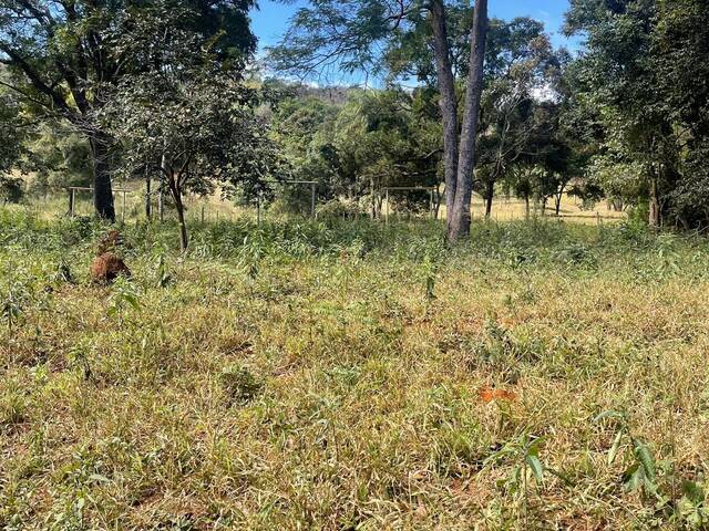 #2990 - Chácara para Venda em Itatiaiuçu - MG