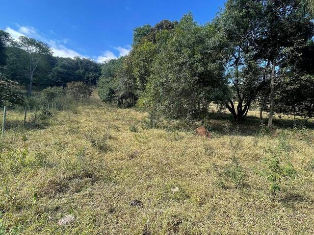 #2991 - Chácara para Venda em Itatiaiuçu - MG