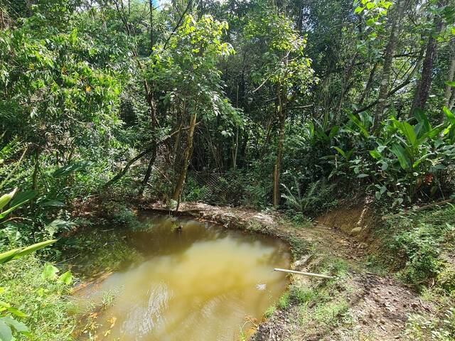 Chácara para Venda em Itatiaiuçu - 5