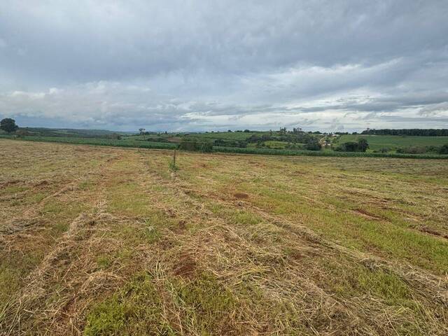 Área para Venda em Mateus Leme - 4