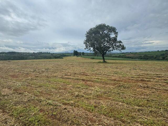 Área para Venda em Mateus Leme - 5