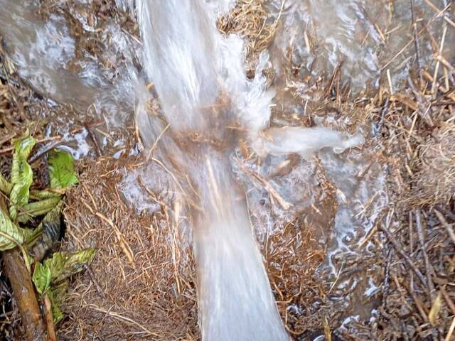 Sítio para Venda em Rio Manso - 4